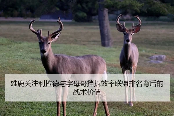 雄鹿关注利拉德与字母哥挡拆效率联盟排名背后的战术价值（kaiyun）